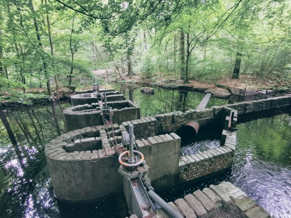 Rondleiding Waterloopbos aanmelden